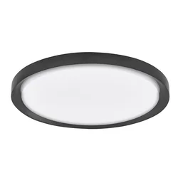 TROY PLAFONSKA SVJETILJKA LED 40W/3000K/2200lm/DIMM/IP20/MATT CRNA