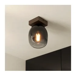 Eglo 900825 - Plafonska svetiljka FILAGO 1xE27/40W/230V