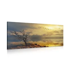 Slika posušeno drevo - 80x40