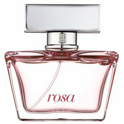 Tous Rosa parfumska voda za ženske 90 ml