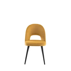 STOLICA