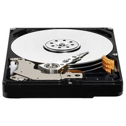 WD trdi disk 320GB SATA 5400 8MB 2.5 (3200BPVT)