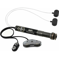 L.R. Baggs HiFi Črna