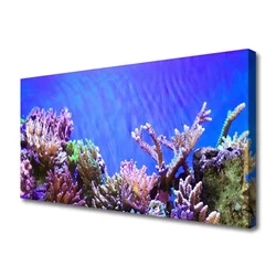 tulup.si Slika na platnu Barrier reef narava 120x60 cm