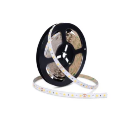LED traka 12V SMD5050 14.4W/m 10mm 4000-4300K 60pcs/m IP20 Stellar