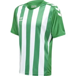moški dres hmlCORE XK STRIPED