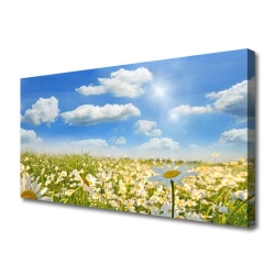 tulup.si Slika na platnu Daisy travnik narava 100x50 cm