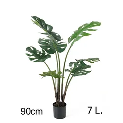 Lilium Filadendron 90cm, 7 listova,567268
