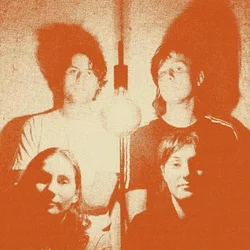 The Stroppies - Levity (LP)