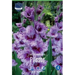 Čebulice Gladiola Passos, 10 kosov
