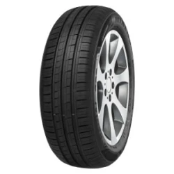 Minerva 209 ( 175/55 R15 77T )