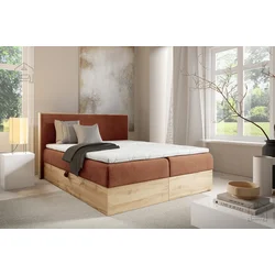 Boxspring postelja Wood 11 - 160x200 cm