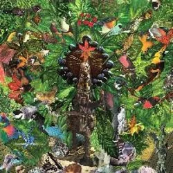 Plankton Wat - Drifters Temple (LP)