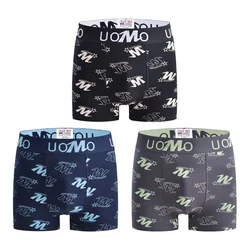 3-PACK moške boksarice Uomo Urban Champion