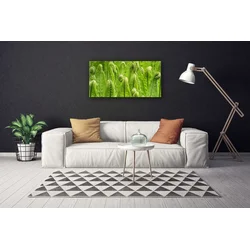 tulup.si Slika na platnu Rastlina narava 100x50 cm