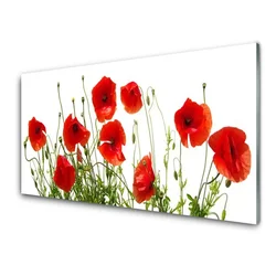 tulup.si Slika na steklu Mak rože narava rastlin 125x50 cm 4 obešalnika