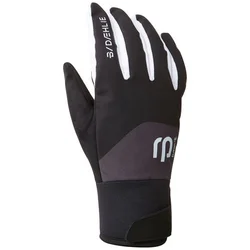 Bjorn Daehlie Rokavice 2.0 black