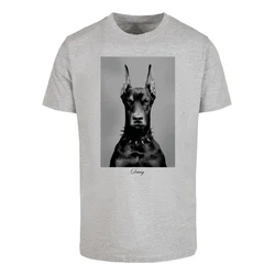 Mens T-shirt Dawg grey