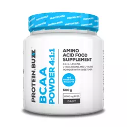 BCAA Powder 4:1:1 (500 gr.)