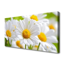 tulup.si Slika na platnu Narava marjetice rastlin 140x70 cm