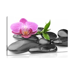 Slika masažni wellness kamni - 90x60