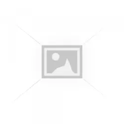 EWE PC AMD Ryzen 3 1200/8GB/256GB/GTX1650 4GB no/TM
