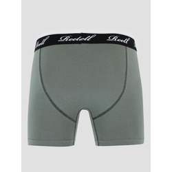 REELL Trunks Boksarice grey green