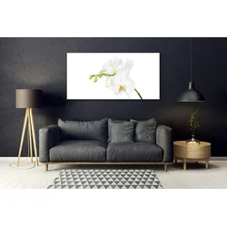tulup.si Slika na steklu Orhideje narava 140x70 cm 4 obešalnika