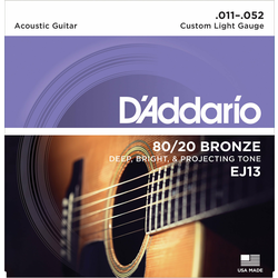DAddario EJ13