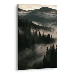 Slika tih iglasti gozd v megli - 20x30
