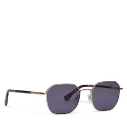 Sončna očala Barbour BA8115C3 Rjava