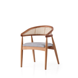 Hanah Home Trpezarijska stolica Atlas 4351, 53x75x53 cm, Siva