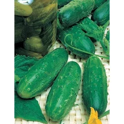 KUMARICE LEVINA BIG PACK 10gr