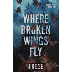 Where Broken Wings Fly