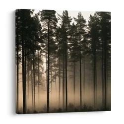 Slika silhuete dreves v rahli meglici - 30x30