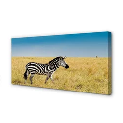 tulup.si Slika na platnu Zebra polje 100x50 cm