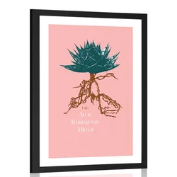 Plakat s paspartujem z napisom Aloe Barbadensis Miller - 30x45 silver