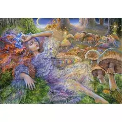Grafika Puzzle After the fairies paket 1500 kosov