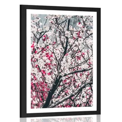 Plakat s paspartujem cvetovi breskve - 60x90 no frame