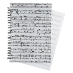 DP NOTNI BLOK A5 STRAUSS (VE 10)