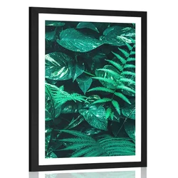 Plakat s paspartujem sveži tropski listi - 60x90 silver