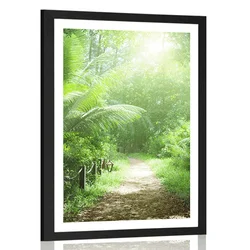 Plakat s paspartujem steza na Sejšelih - 30x45 no frame