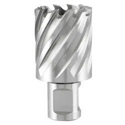 Krunasto glodalo 24x30mm HSS sa Weldon prihvatom (3/4) Ruko