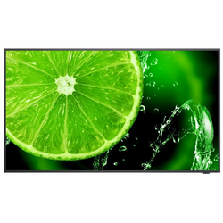 Monitor LCD NEC 60005045 IPS Direct-LED 42,5 42,5