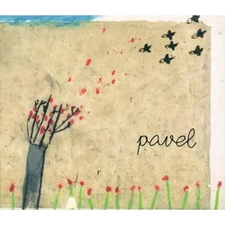 posneti mediji PAVEL - PAVEL, (21009873)
