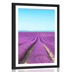 Plakat s paspartujem neskončna polja sivke - 30x45 silver