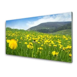 tulup.si Steklena slika Dandelion narava 140x70 cm 2 obešalnika