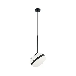 Luster na sajli PALMA 1xE27/40W/230V crna