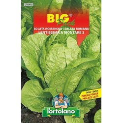 SOLATA ROMANA LENTISSIMA BIG PACK 20gr