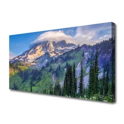 tulup.si Slika na platnu Forest landscape mountain nature 140x70 cm